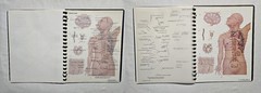 Schick Notebook Charts Human Anatomy Softcover Spiral Bound Book (1987)