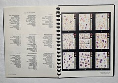 Schick Notebook Charts Human Anatomy Softcover Spiral Bound Book (1987)