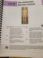 Anatomy & Physiology Lab Manual by Elizabeth Co (English) Spiral Book